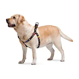 Шлея для собак WAUDOG Nylon з QR паспортом анатомічна "NASA" L (5024) - мініатюра 3