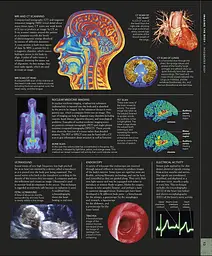 The Human Body Book - мініатюра 3