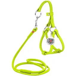 Шлея з повідцем для собак Waudog Glamour, шкіряна, кругла, з QR паспортом, 26-46х30-50х0,6/105 см, салатовий (34015)