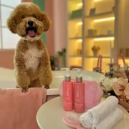 Шампунь Home Food Beauty Досконалий догляд для собак та котів 200 мл  - мініатюра 6