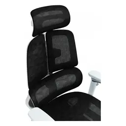 Офісне крісло GT Racer B-2450 White/Black - миниатюра 11