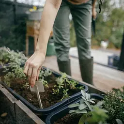 Садовий совок Fiskars Solid (1071899) - мініатюра 6