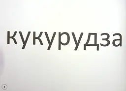 Зорові диктанти з української мови. 2 клас - Лариса Шевчук - мініатюра 8