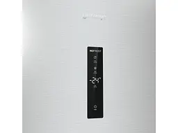 Морозильна камера Gorenje FN619EAXL6 - мініатюра 3