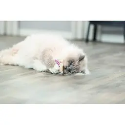 Іграшка Trixie Ведмідь тканинний з котячою м'ятою для котів 12 см - мініатюра 7