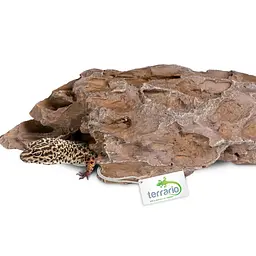 Декорація укриття Terrario Dragon Stone S 22x12x7см (22127) - мініатюра 3