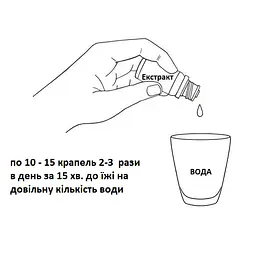 Екстракт New Life гінкго білоба 30 мл - мініатюра 4