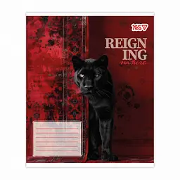 Упаковка зошитів учнівський Yes Reign ing А5 / 48 кл. 10 шт. (769096) - мініатюра 4