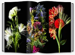 Flower Art. Makoto Azuma - мініатюра 7