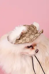 Панамка для собак у стилі Gucci S, коричнева