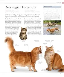 The Cat Encyclopedia - мініатюра 21