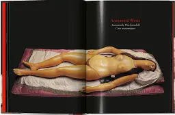 Anatomical Waxes. 45th Edition - мініатюра 5