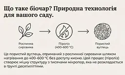Біочар IDEALE для кімнатних рослин та розсади 1,5 л - мініатюра 10
