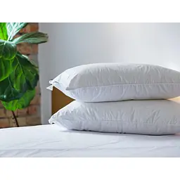 Подушка Ecotton Premium Line White 50х70 см (25069) - мініатюра 2