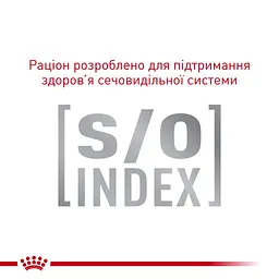 Сухий лікувальний корм для кішок при захворюваннях опорно-рухової системи Royal Canin Cat Mobility Feline, 2 кг (3946020) - мініатюра 3