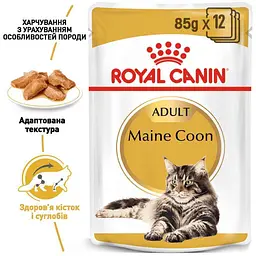 Набір вологого корму для дорослих кішок породи мейн-кун Royal Canin Maine Coon Adult шматочки в соусі 1.02 кг (12 шт. х 85 г) - мініатюра 5