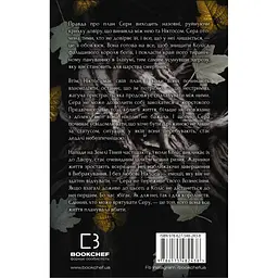 Книга Плоть і вогонь. Книга 2: Світло у пломені - Дженніфер Л. Арментраут BookChef (9786175482438) - мініатюра 3