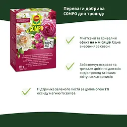 Комплексе добриво для троянд з повільним вивільненням поживних речовин COMPO 0.85 кг - мініатюра 3