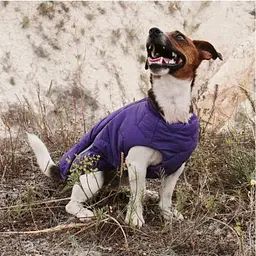Жилет Pet Fashion E.Vest для собак, розмір XS, фіолетовий - мініатюра 4