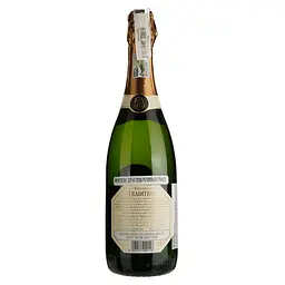 Вино ігристе Villiera Tradition Brut біле брют 0.75 л - мініатюра 2