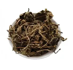 Кульбаба Трава Бабка Пустодуй Маївка Taraxacum officinale Taraxacum officinale