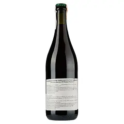 Вино Ferraro Maurizio Solo Red Wine Grignolino 2019 IGT, 11,5%, 0,75 л (873699) - мініатюра 2