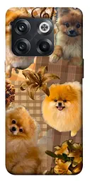 TPU чехол Demsky Spitz aethtetic для OnePlus 10T