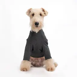 Базовий комбінезон/піжама для собак V.PET.B.R. Dog Jumpsuit CF36 Dark Grey - мініатюра 4