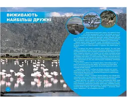 Хто з ким дружить, або дивовижі симбіозу - Клімов Василь (9789669890467) - мініатюра 5