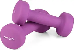 Гантелі для фітнесу неопренові Gymtek Queenfit 2х1кг фіолетовий