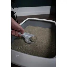 наповнювач для кошачього туалету Biokat's Micro Fresh 6 л - мініатюра 2