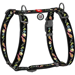 Шлея для собак анатомічна Waudog Nylon А Рік і Морті 3, L, чорний (5160-0282)