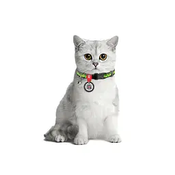 Нашийник для котів нейлоновий Waudog Nylon з QR-паспортом "Авокадо" пластиковий фастекс Ш 10 мм Д 20-30 см - мініатюра 3