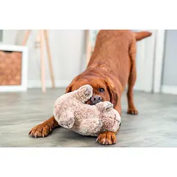 Іграшка Trixie Коала плюшева з перероблених матеріалів для собак 25 см - мініатюра 7