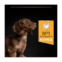 Сухий корм для собак Purina Pro Plan Dog Small&Mini Puppy з куркою і рисом 3 кг (7613035114340) - мініатюра 7