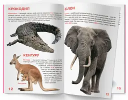 Велика книжка. Дикі тварини - мініатюра 5