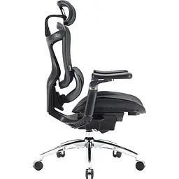 Крісло офісне Sihoo Doro C300 Pro Mesh Black (DORO-C300-PRO-M101) - мініатюра 5
