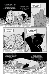 Коти - вояки. Манґа 7. Тигрозір і Саша. Повернення до Кланів - мініатюра 5