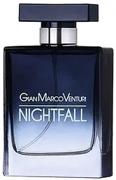 Оригінал Gian Marco Venturi Nightfall 100 мл ТЕСТЕР парфумована вода