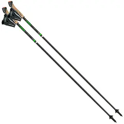 Палиці для скандинавської ходьби Gabel FLD Carbon 105 (7009400801050) складні - фіксованої довжини