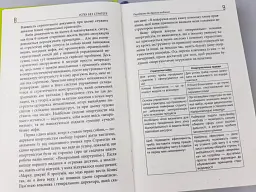 Успіх без стратегії - мініатюра 7
