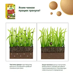 Тверде добриво тривалої дії для газонів COMPO 2 кг - мініатюра 6