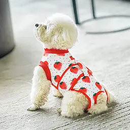 Костюм для відновлення після операції для собак VPETER Strawberry, 2XL