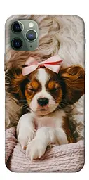 TPU чохол Demsky Sleepy spaniel для Apple iPhone 11 Pro (5.8")