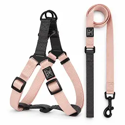 Шлея для собак Nunbell Y-Shape з повідцем, регульована та світловідбивна S, Бежевий