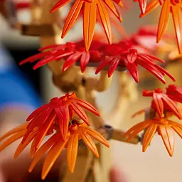 Конструктор LEGO Botanicals Бонсай з японського червоного клена 474 деталі (10348) - мініатюра 9