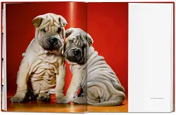 Chandoha. Dogs. Photographs 1941–1991 - мініатюра 6