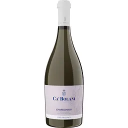 Вино ігристе Tenuta Ca'Bolani Chardonnay Frizzante біле сухе 10.5% 0.75 л