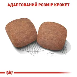 Сухий корм для дорослих собак великих розмірів Royal Canin Giant Adult, 4 кг (3009040) - мініатюра 3