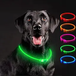 Світлодіодний LED нашийник для собак із зарядкою USB, зелений - мініатюра 9